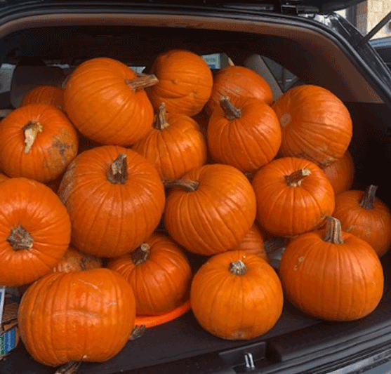 a pile of pumpkins in the back of a car